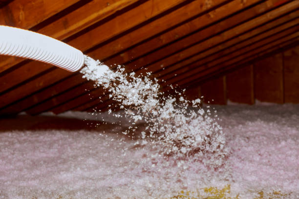 Best Best Insulation Companies  in Mentor On The Lake, OH