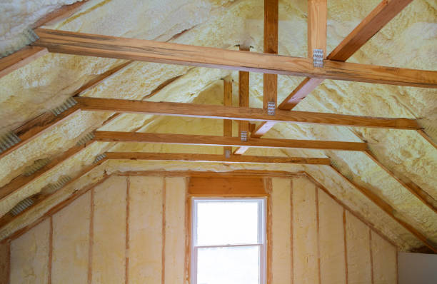 Best Insulation Contractors for Homes  in Mentor On The Lake, OH