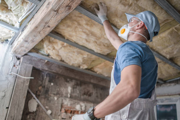 Best Insulation Removal  in Mentor On The Lake, OH