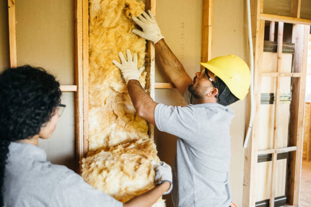 Best Insulation Replacement Services  in Mentor On The Lake, OH