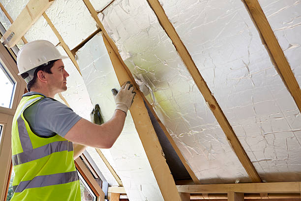Best Wall Insulation Contractor  in Mentor On The Lake, OH