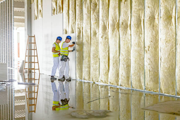 Best Attic Insulation Installation  in Mentor On The Lake, OH